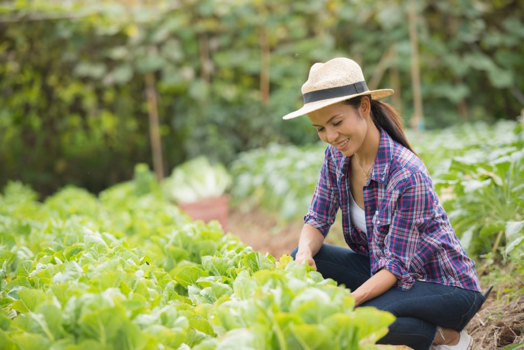 A mulher no Agronegócio Brasileiro