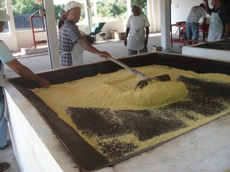 Curso de Processamento da Mandioca