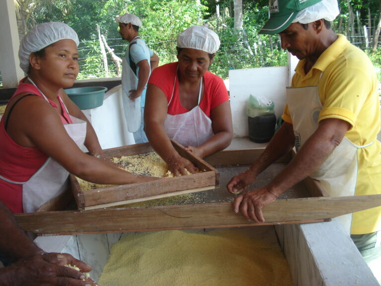 Curso de Processamento da Mandioca