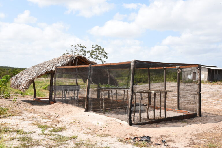 Minhocário, compostagem e sementeira