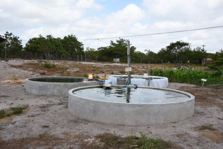 Tanque de Peixe