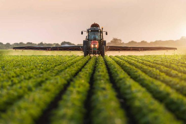 Balanço do Agronegócio no Maranhão em 2024 e Perspectivas para 2025